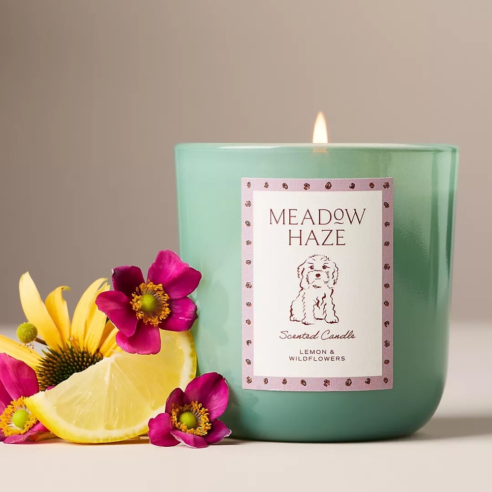 PAPIER X ANTHROPOLOGIE | 8 oz. | Champs De France Homebody Meadow Haze Candles